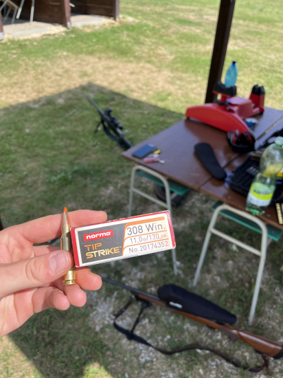 308w  Norma tip strike