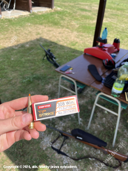 308w  Norma tip strike