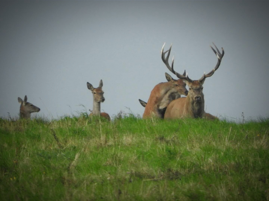 Ja ťi ukážem, ako na to :D