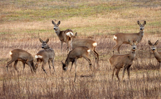spoločné raňajky :)