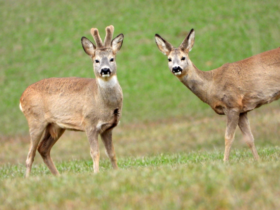 no čo už s tebou, keď si vošla do záberu :)