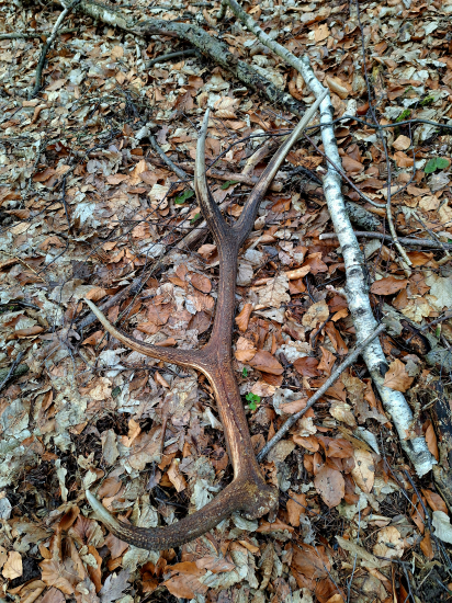 Prvý čerstvý 2024