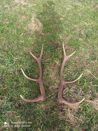 Na veľkonočnú nedeľu