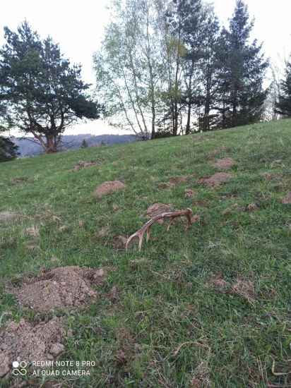 Zablatený Desatorak