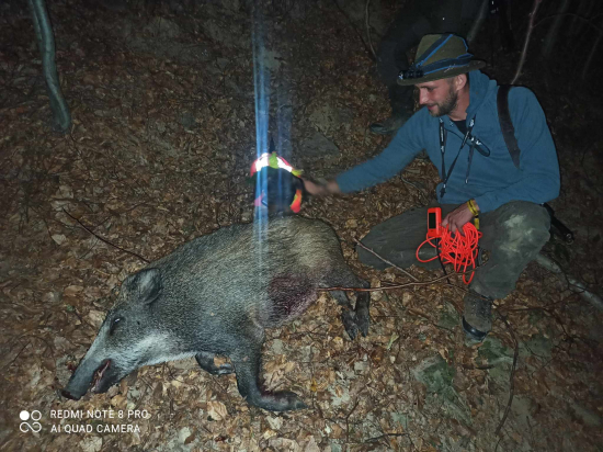 11.Diviak po menšej pauze