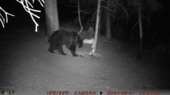 Pravidelný návštevník