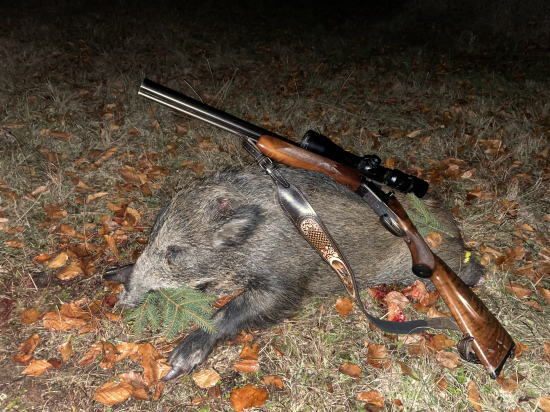 Novembrové prasiatko