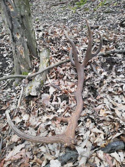 Jedna symbolická pre rok 2024