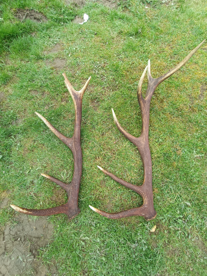 Rok.2022 a 2023 ....