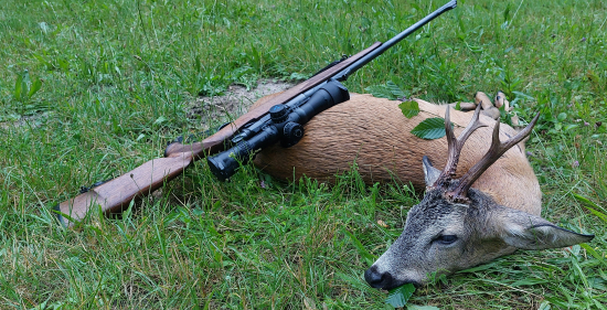 Srnec za ranného dažďa