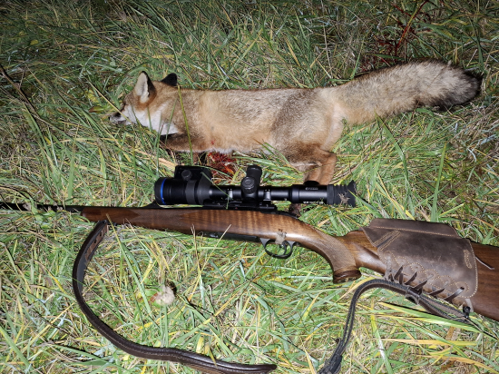 Tlmenie škodnej zvery