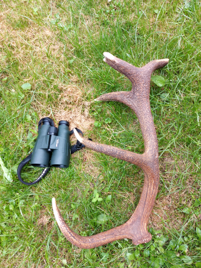 Kolko mu odhadujete ?