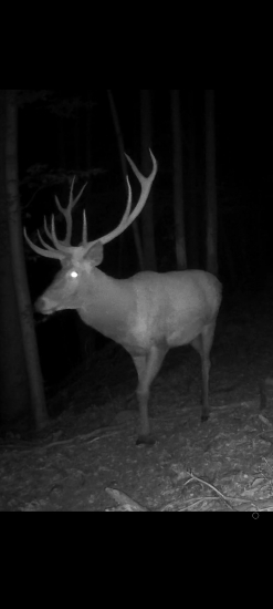 Koľko môže mať rokov ?