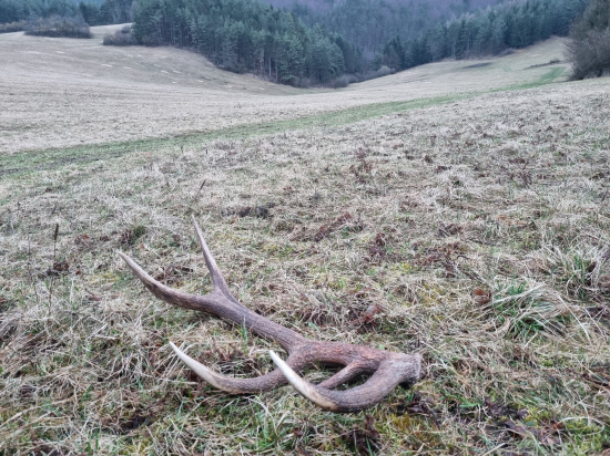 Keď zhodar nevidí a polovnikovi dopriate..