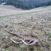 Keď zhodar nevidí a polovnikovi dopriate..