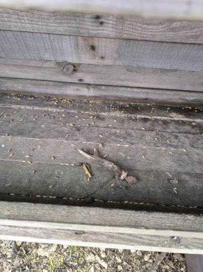 Posledný tohto roku