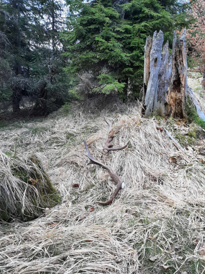 Dnešný slnečný deň..