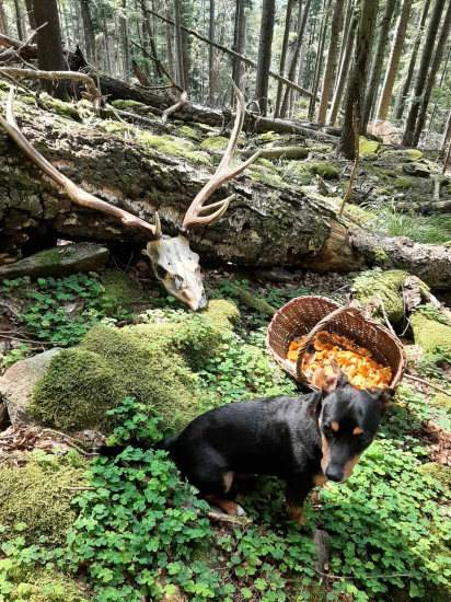 Aj tak sme stále frajeri