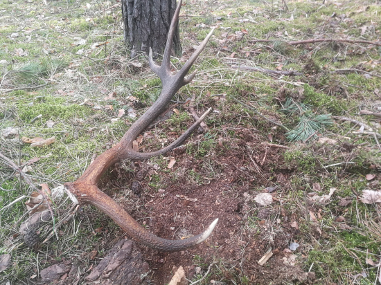 Tam, kde chodí najviac ľudí