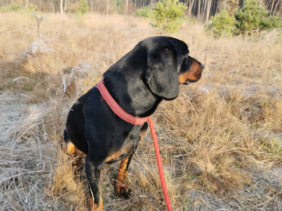 Nedeľná prechádzka