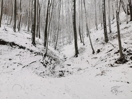 Príroda v zimnom šate