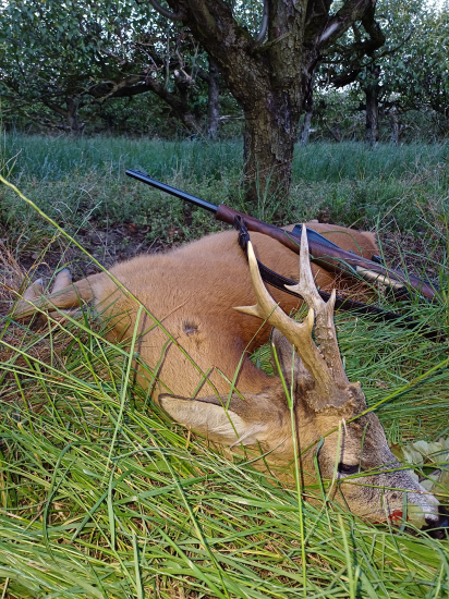 Mikulčice 13.6.2024