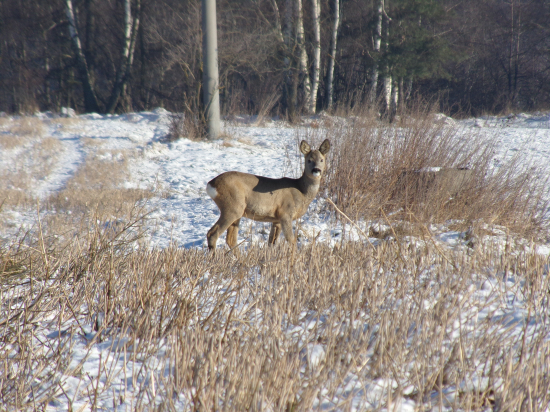 V lúčoch obedňajšieho slnka