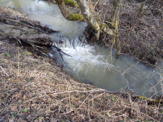 Tíško si štebotal svoju pieseň