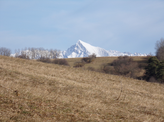Kriváň na pravé poludnie
