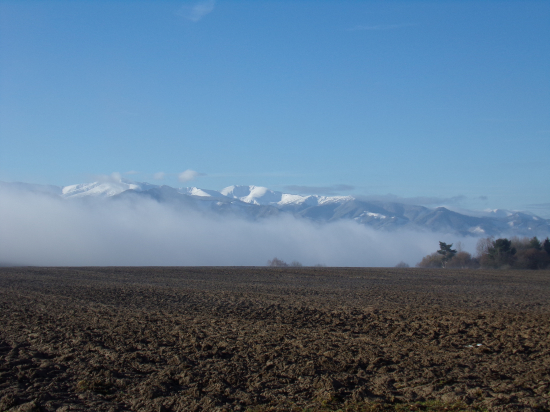 Po nočnom daždi svitlo krásne ráno