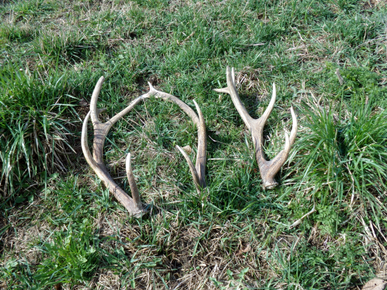 Konečne sa zadarilo