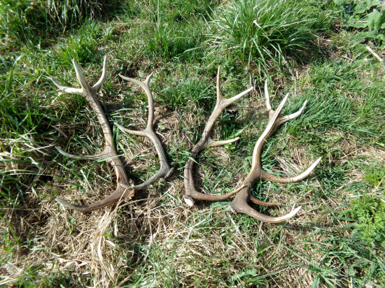 Šťastie stálo pri mne aj dnes.