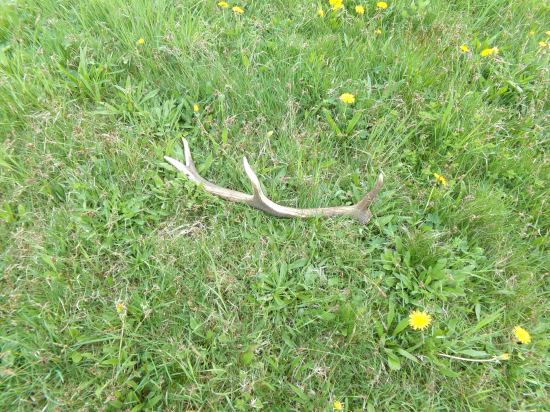 Ešte stále sa nájdu