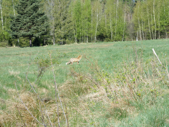 Stará známa na tom istom mieste