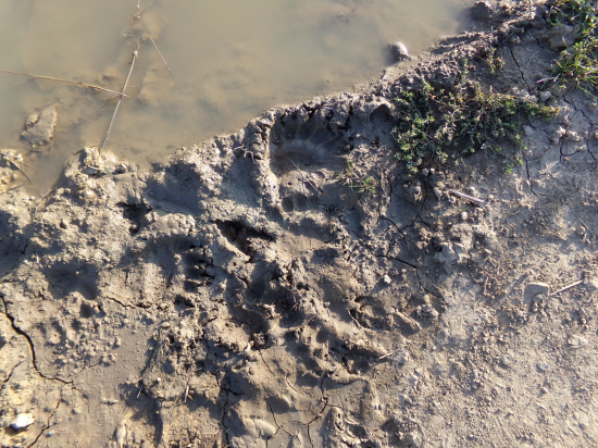 Sto metrov za dedinou