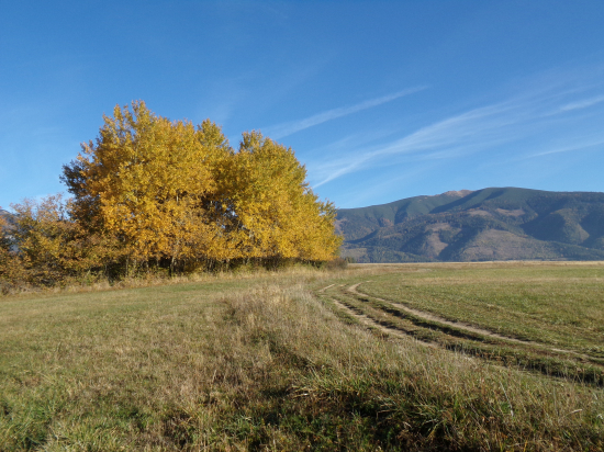 Čarovne bolo aj dnes