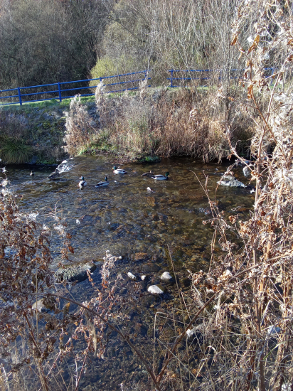 Aj dnes som bol pozrieť moje kamarátky-