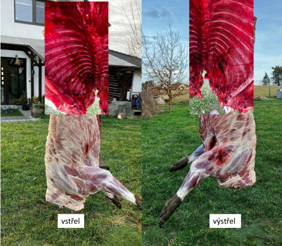 30-06 Sprg, Norma Bondstrike