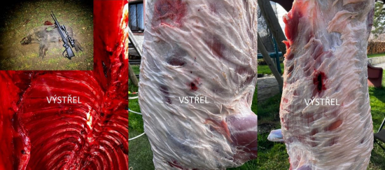 30-06 Sprg, Norma Bondstrike