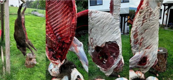 30-06 Sprg, Norma Bondstrike