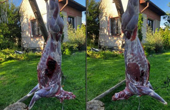 30-06 Sprg, Norma Bondstrike