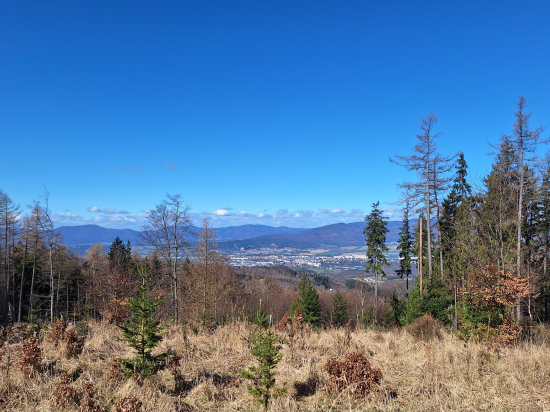 Jeden z pekných dní