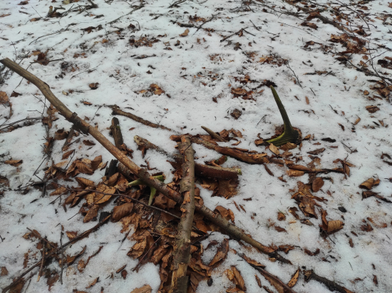 Prvý v sezóne 2024