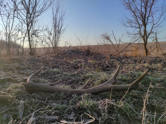 Tato zahájil sezónu