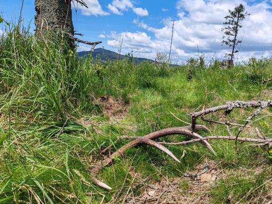 Možno ukončenie sezóny
