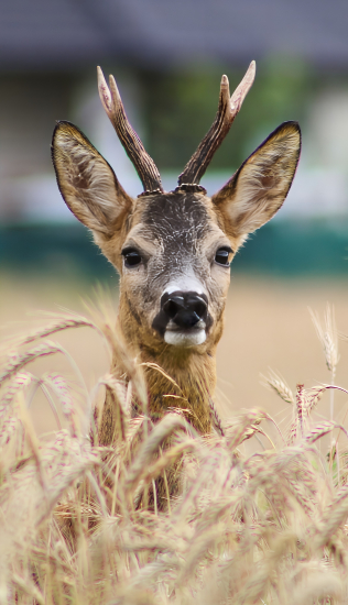 Tu by som ho nečakal
