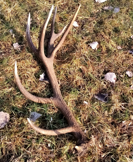 Môj najkrajši 2023