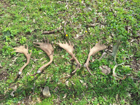 Keď je v hore pokoj