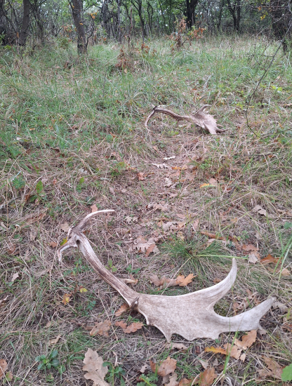 Tým správnym chodníčkom