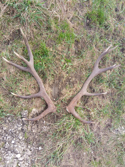 Nepravidelný 14torak